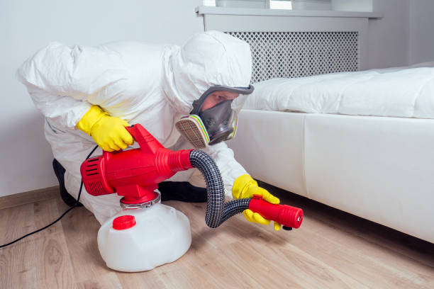Flea Control Services in Winchester, KY