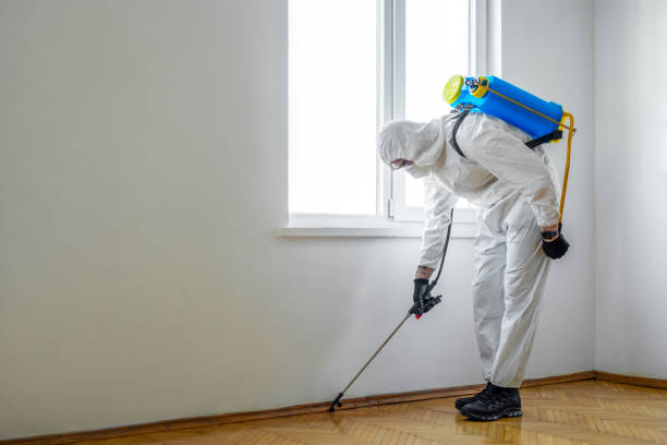 Best Mosquito Control Services  in Winchester, KY