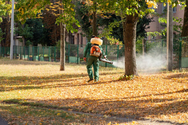 Best Wasp Removal Services  in Winchester, KY