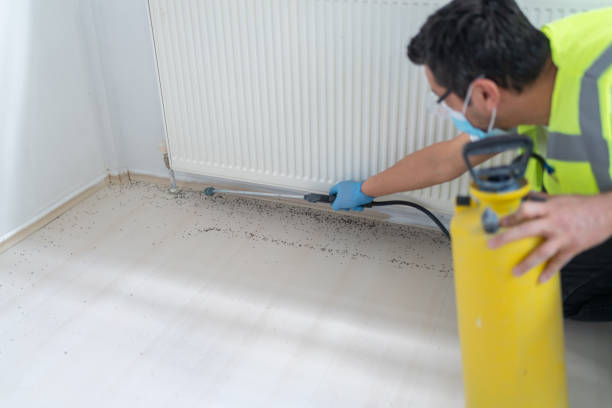 Reliable Winchester, KY Pest Control Solutions